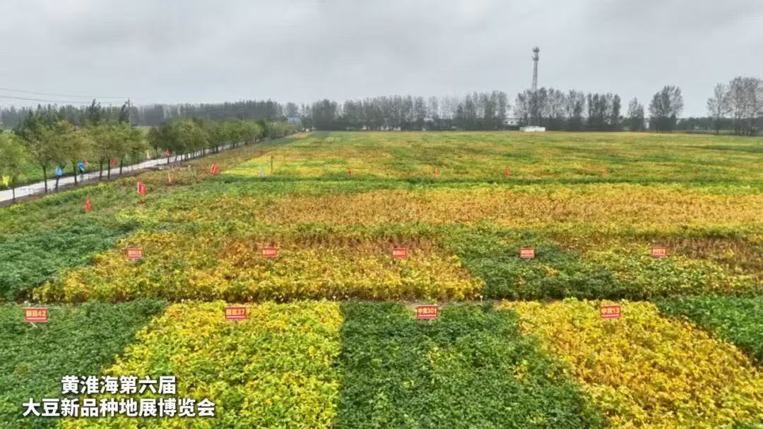 微信图片_20251009153056.jpg