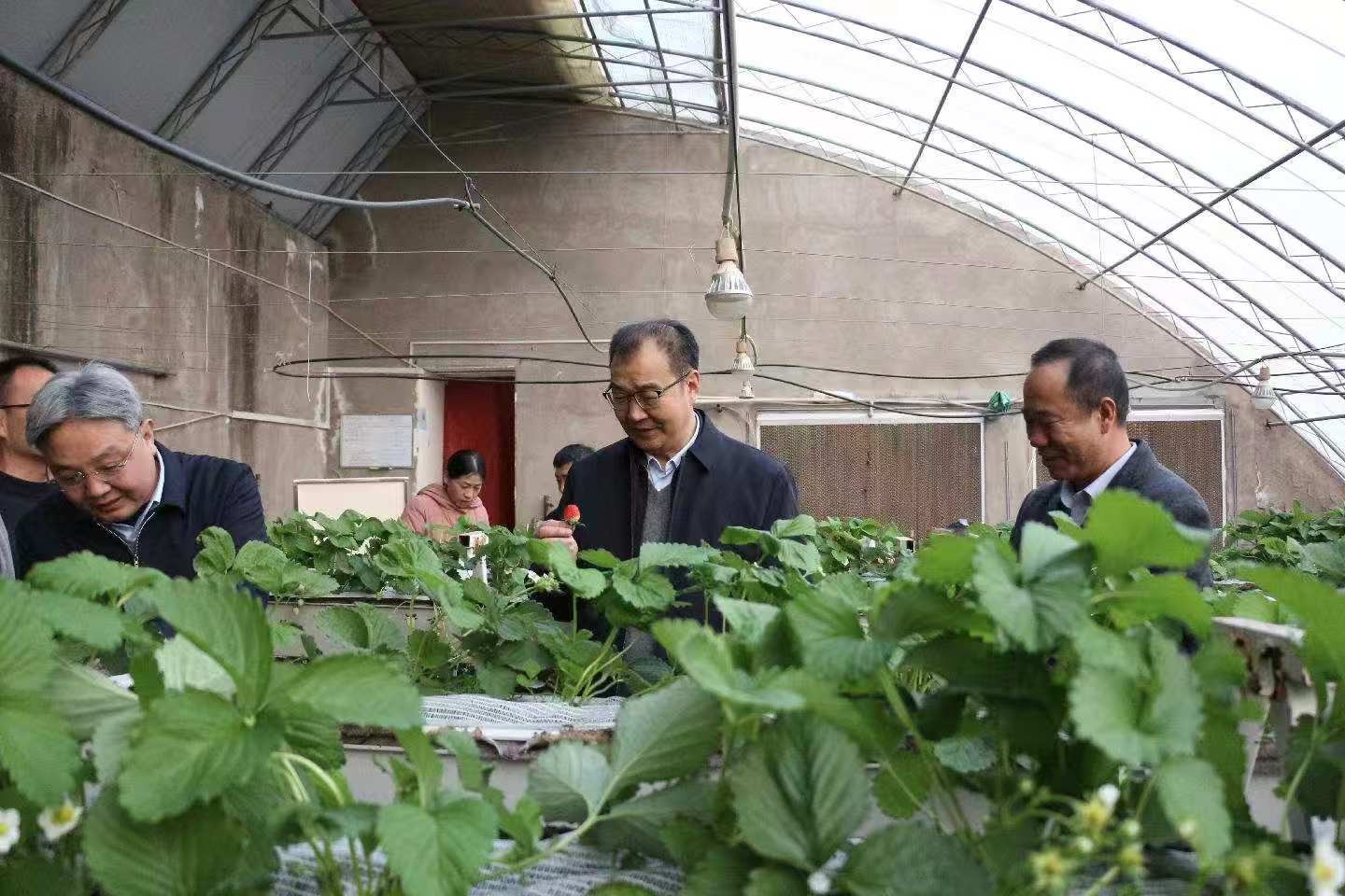 微信图片_3.jpg