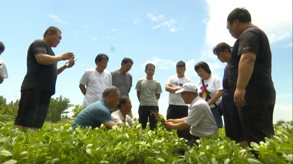 b82283cade8cfe77d798aa3308a82d0b.png