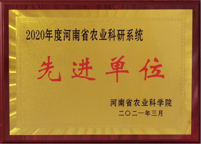 55eb9b6880995230ce963ad4a1940a20.png