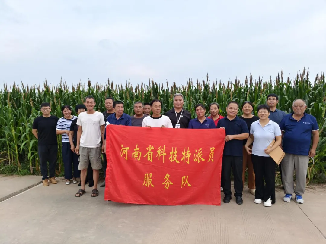 护航秋收:河南科技特派员为玉米“把脉开方” 护航秋收:河南科技特派员为玉米“把脉开方”