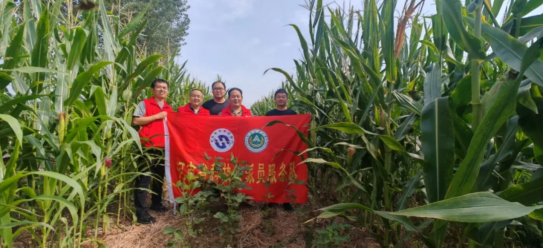 护航秋收:河南科技特派员为玉米“把脉开方” 护航秋收:河南科技特派员为玉米“把脉开方”