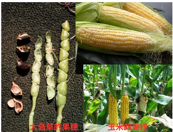 微信图片_20260302161619.jpg