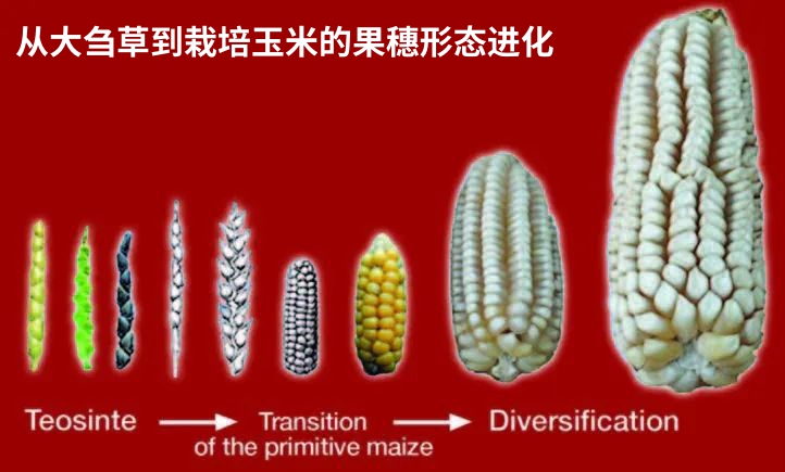 微信图片_20260302161702.jpg