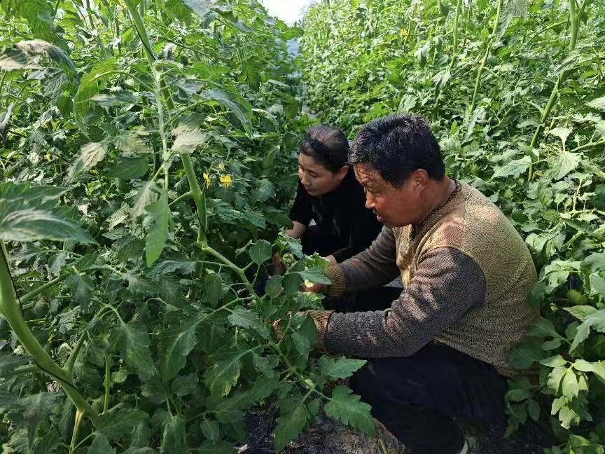 微信图片_20260407095717.jpg