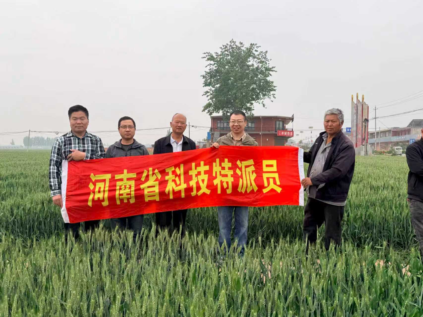 微信图片_20260511101930.jpg